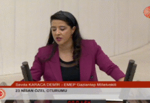 Sevda Karaca: “Bu Mücadele Bir Kanun Maddesi İçin Değil, Onurlu Bir Gelecek İçin”