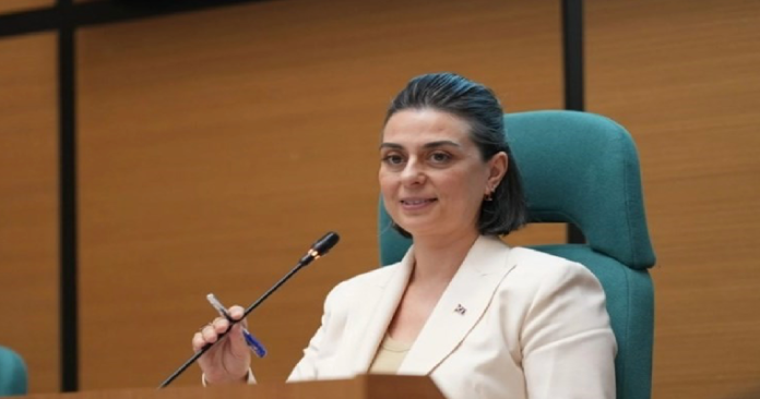 sinem-dedetas