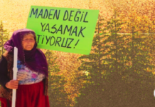 Polen Ekoloji Kolektifi Doğanın Talanını Haritalandırdı: Toprağın, Suyun ve Emeğin Ortak Mücadelesi