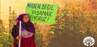 Polen Ekoloji Kolektifi Doğanın Talanını Haritalandırdı: Toprağın, Suyun ve Emeğin Ortak Mücadelesi